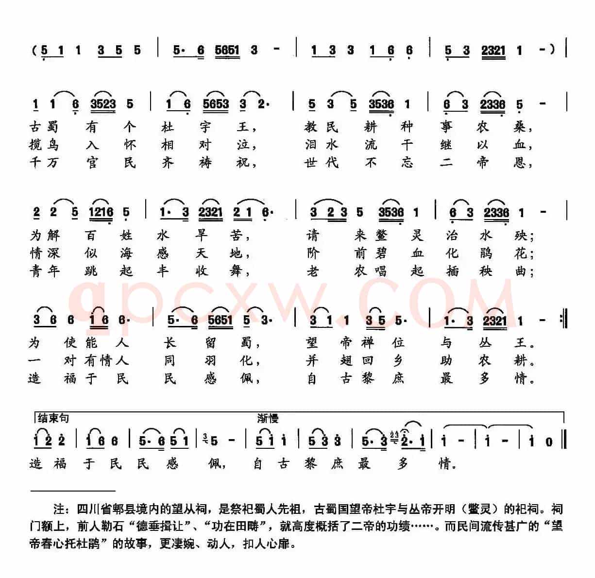 杜鹃情