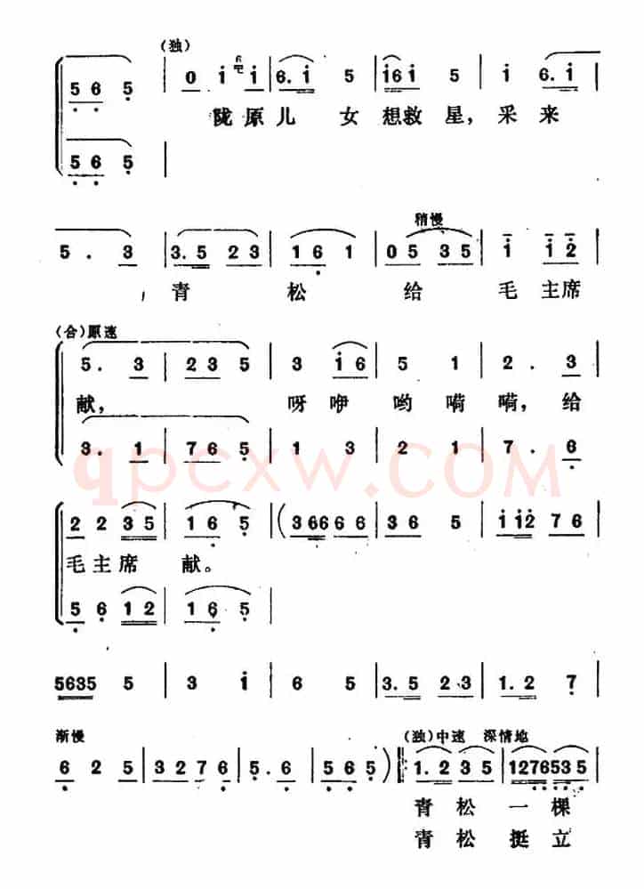青松献给毛主席（独唱+伴唱）