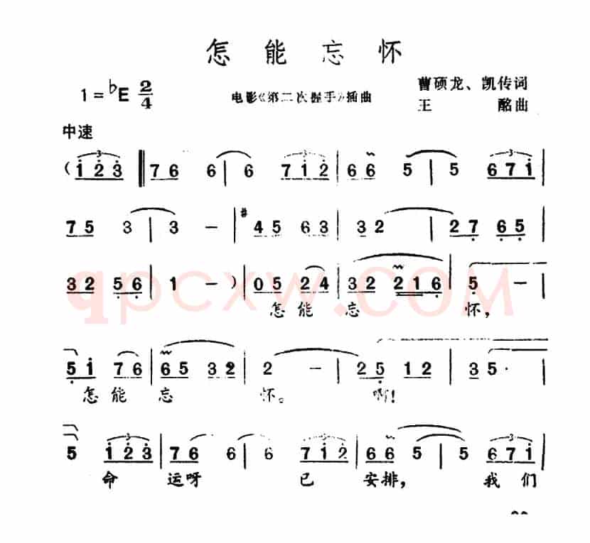 怎能忘怀（电影《第二次握手》插曲）