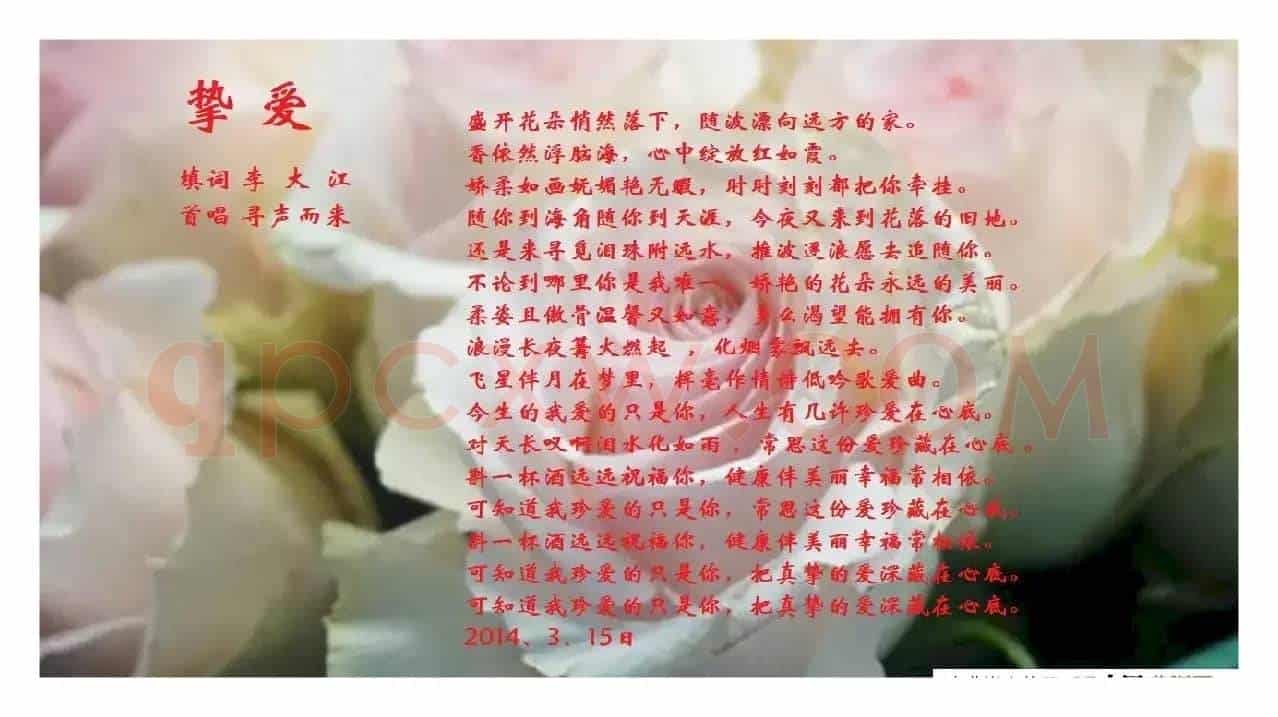 挚爱(爱情三部曲之二)