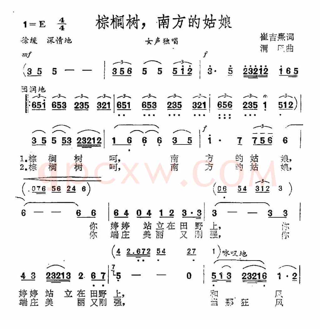 棕榈树，南方的姑娘