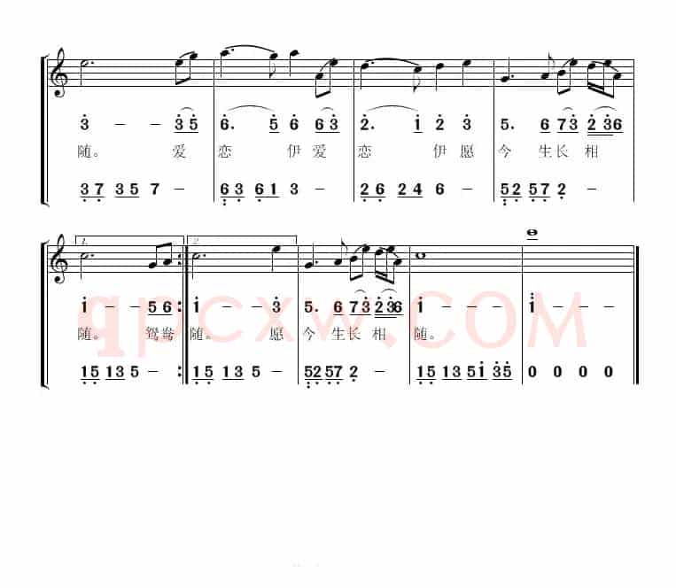 女儿情（简线对照版）
