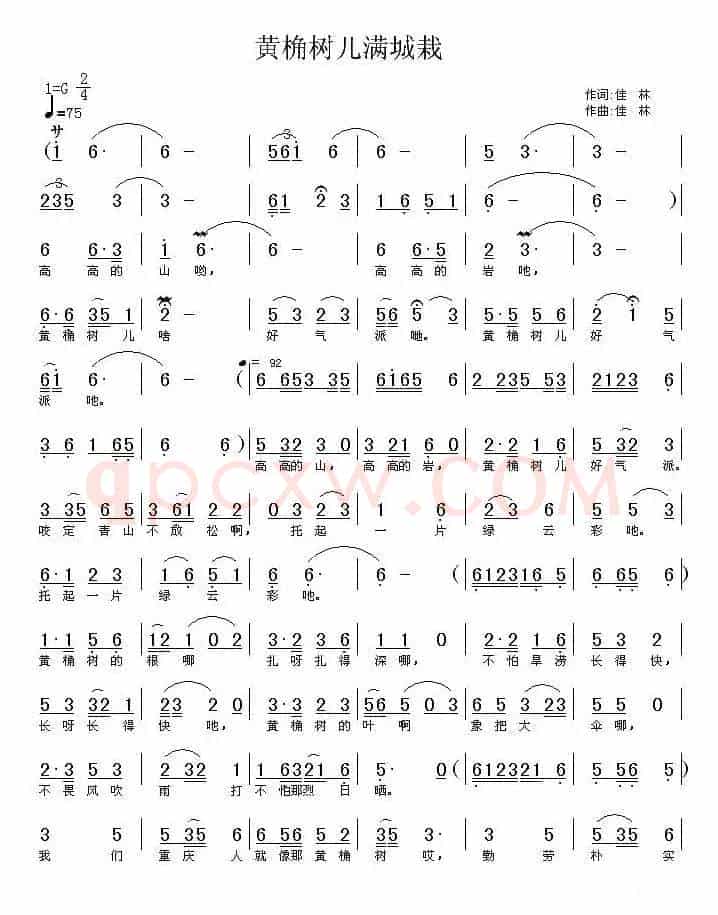 黄角树儿满城栽