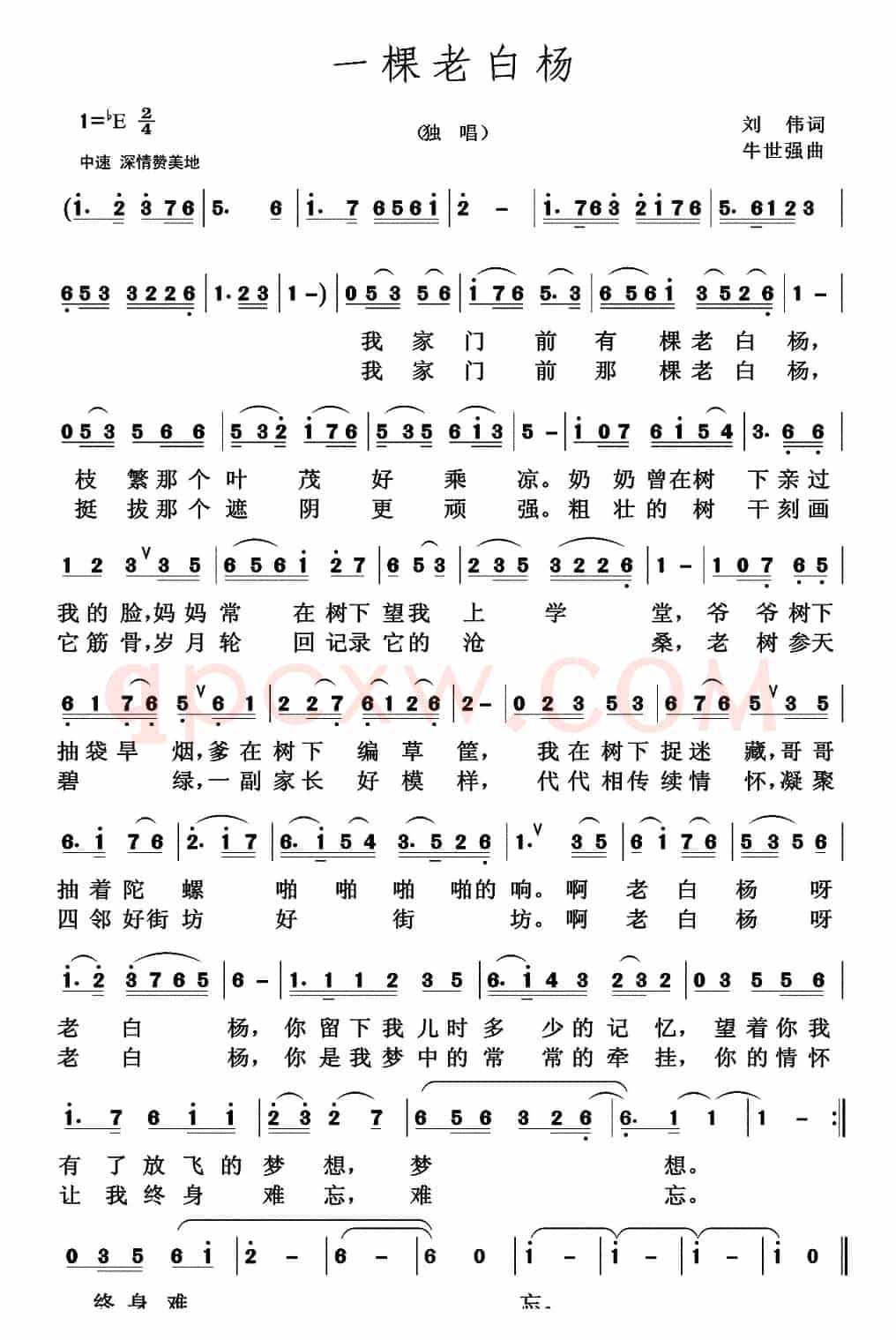 一棵老白杨
