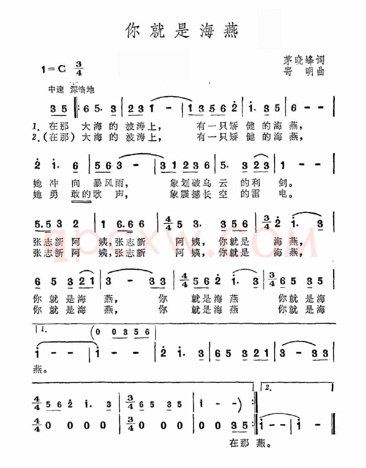 你就是海燕