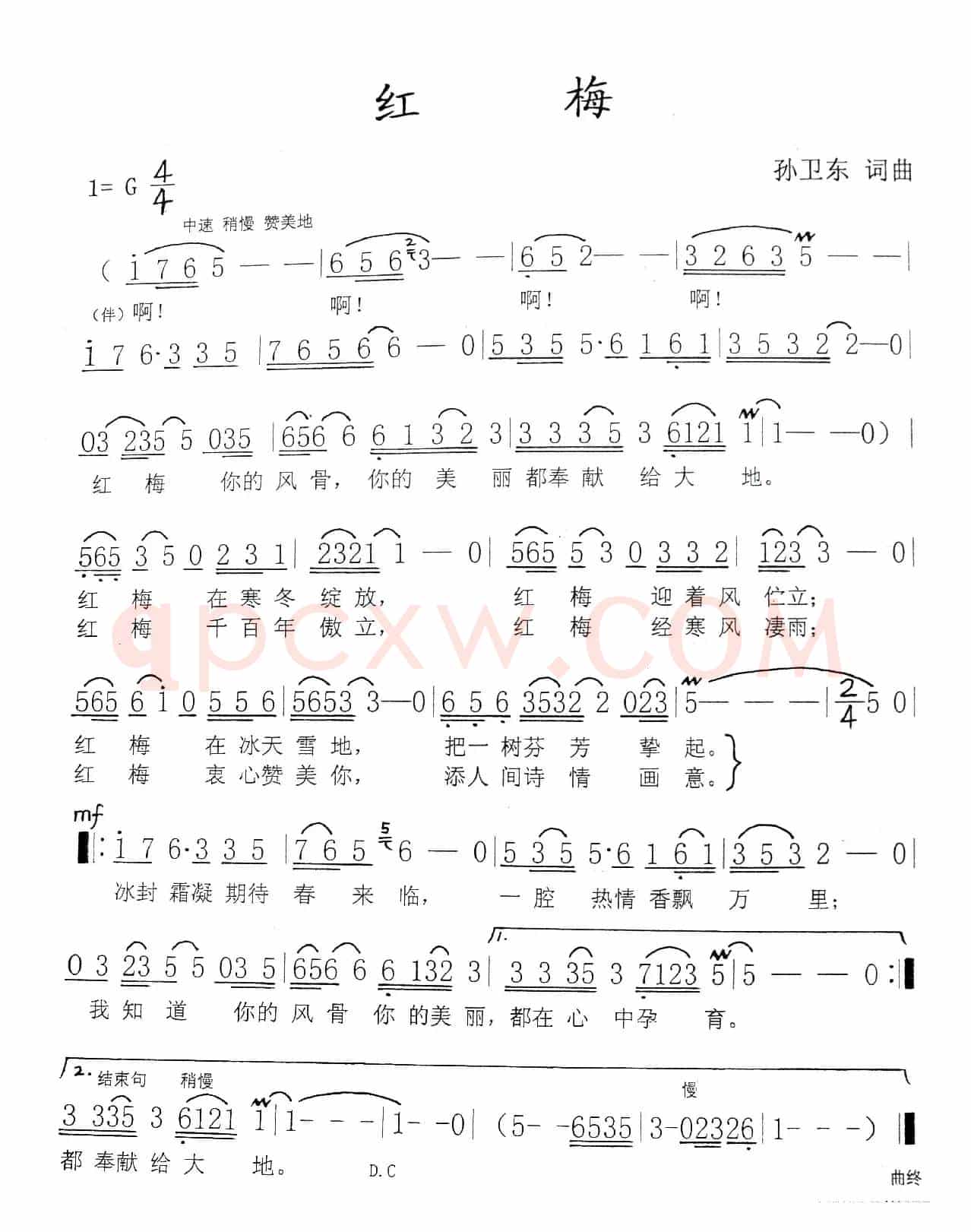 红梅（孙卫东词曲）