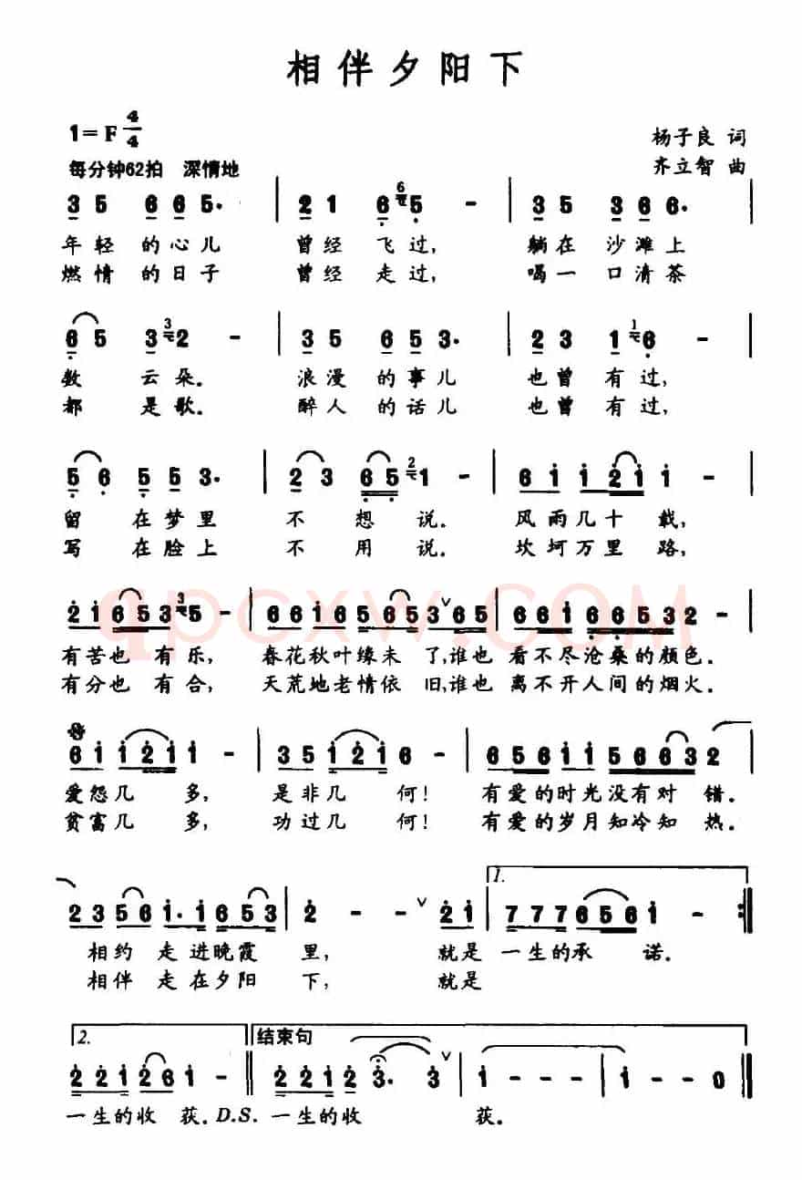相伴夕阳下