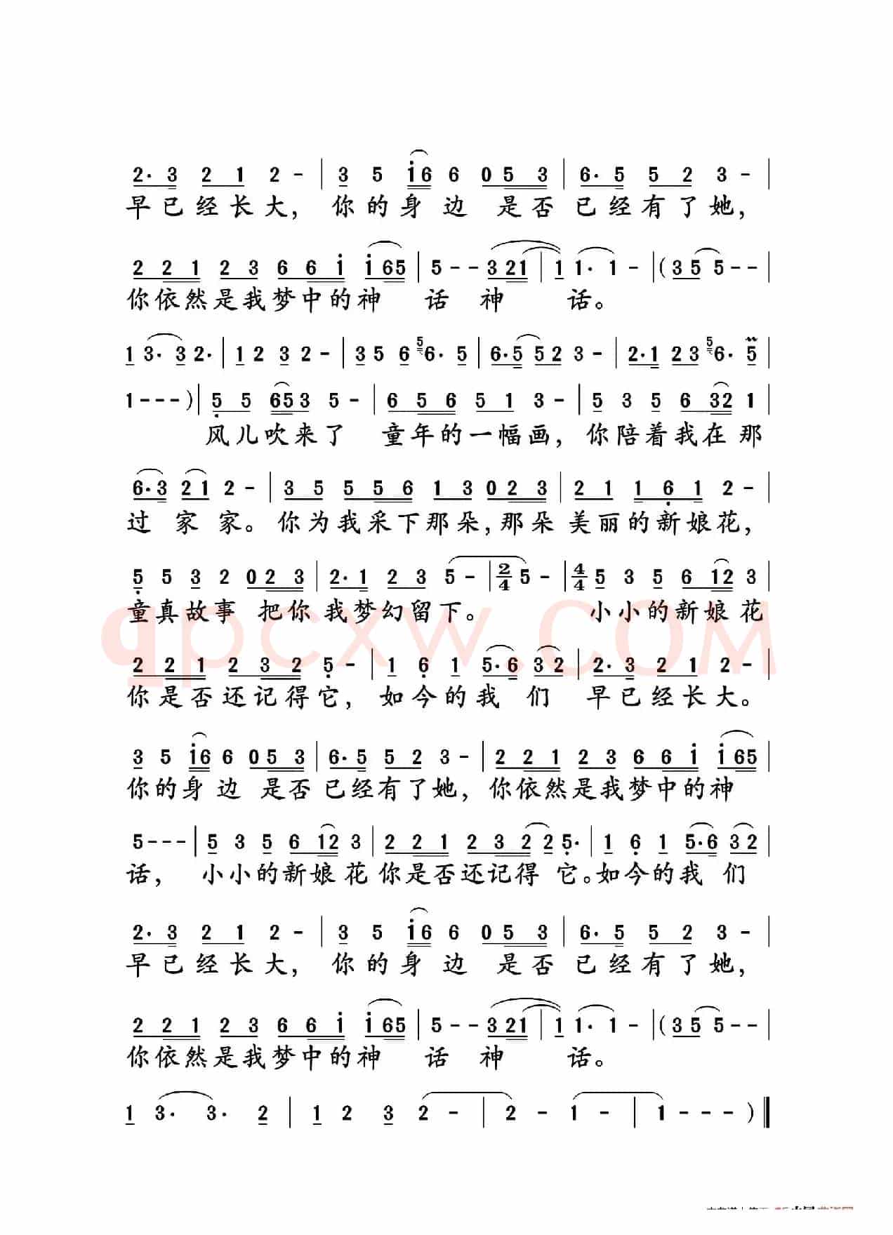 小小新娘花（大字老人适用）