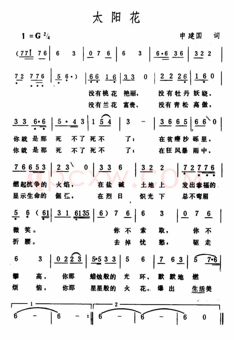太阳花（石祥词 生茂曲）