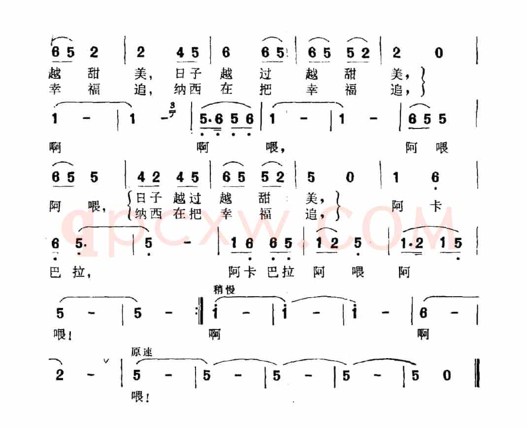 纳西在把幸福追
