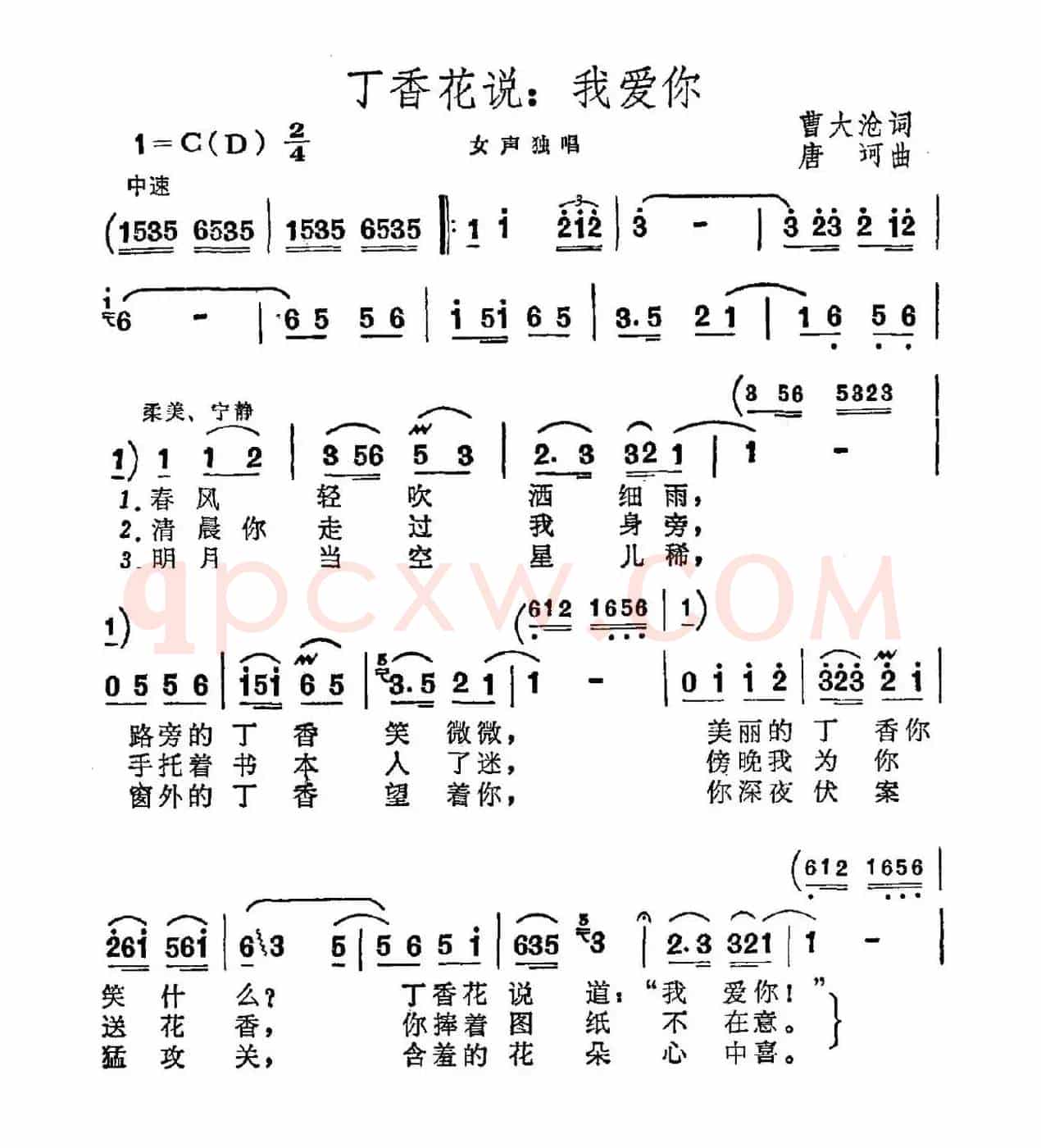 丁香花说：我爱你