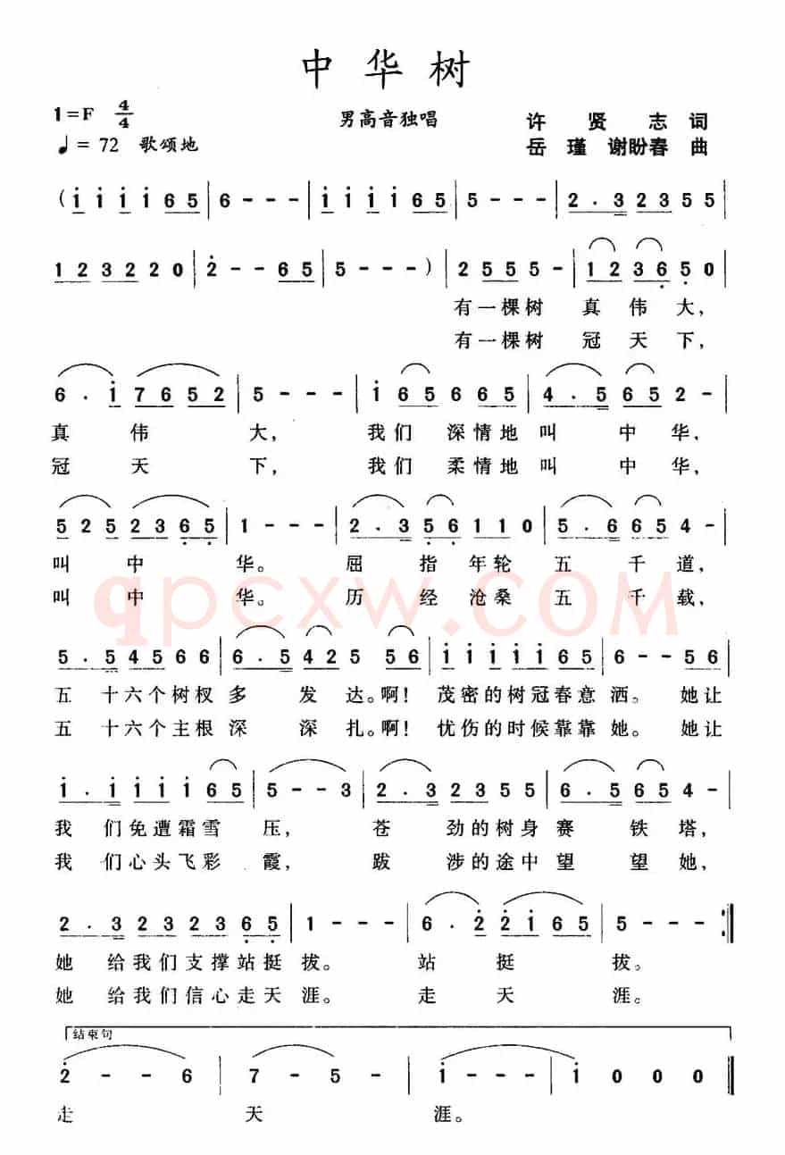 中华树