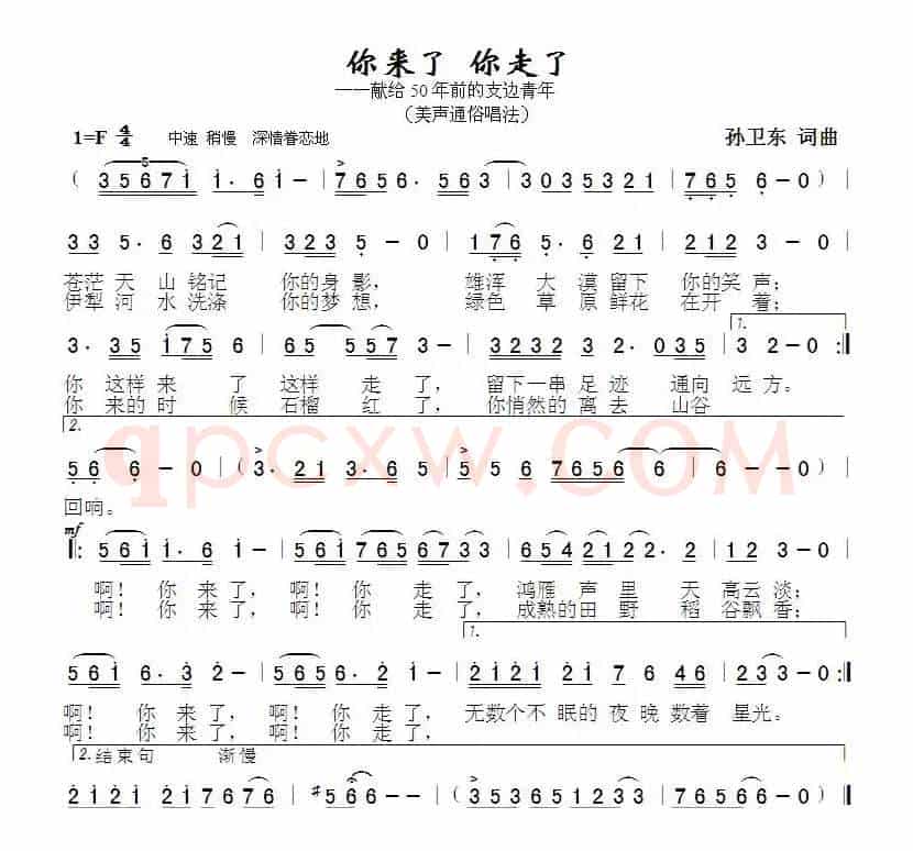 你来了你走了（孙卫东词曲）
