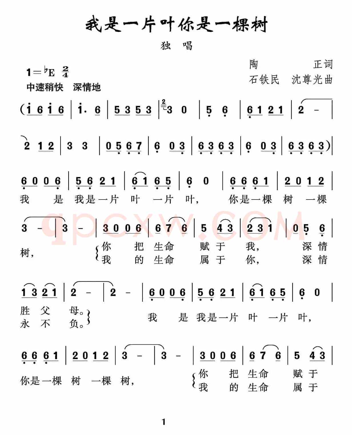 我是一片叶 你是一棵树