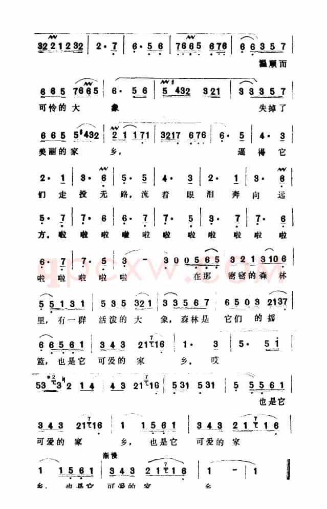 森林与大象