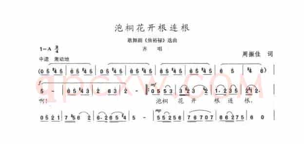 泡桐开花根连根