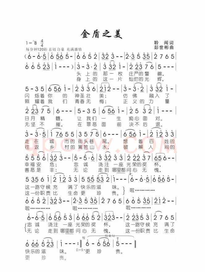 金盾之美