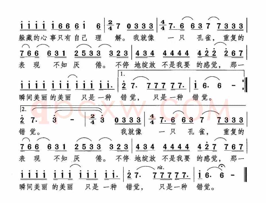 孔雀（陈道斌词 栾凯曲）