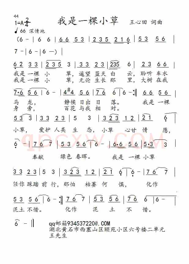 我是一棵小草