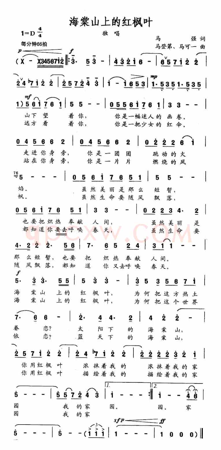 海棠山上的红枫叶
