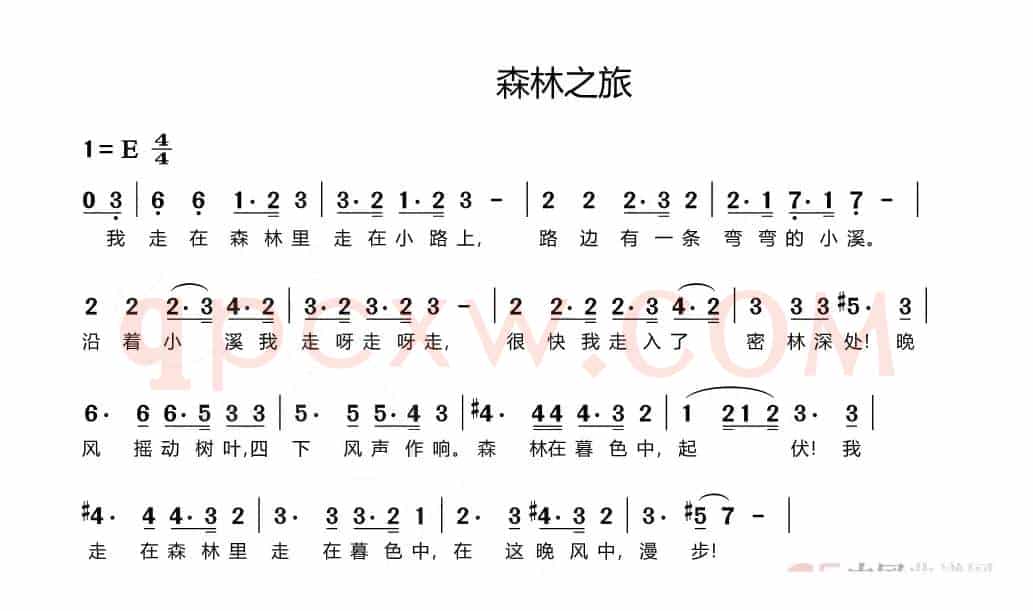 森林之旅