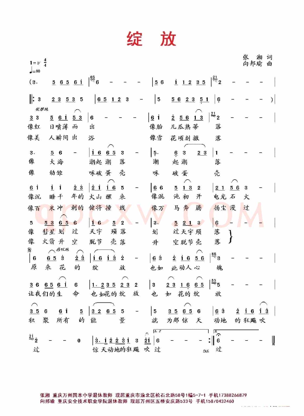绽放