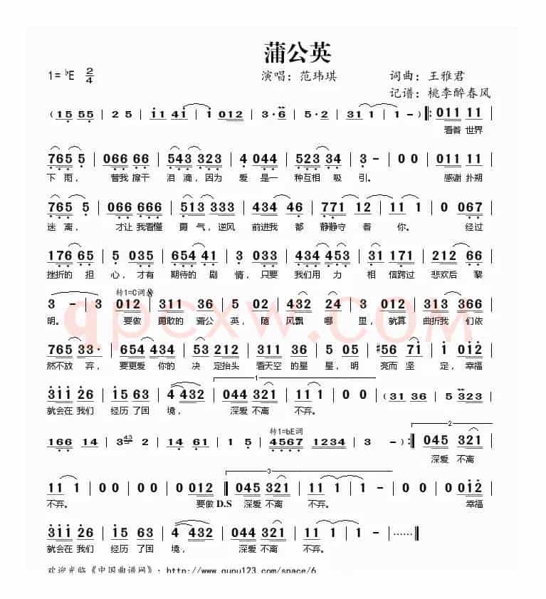 蒲公英(王雅君词曲)