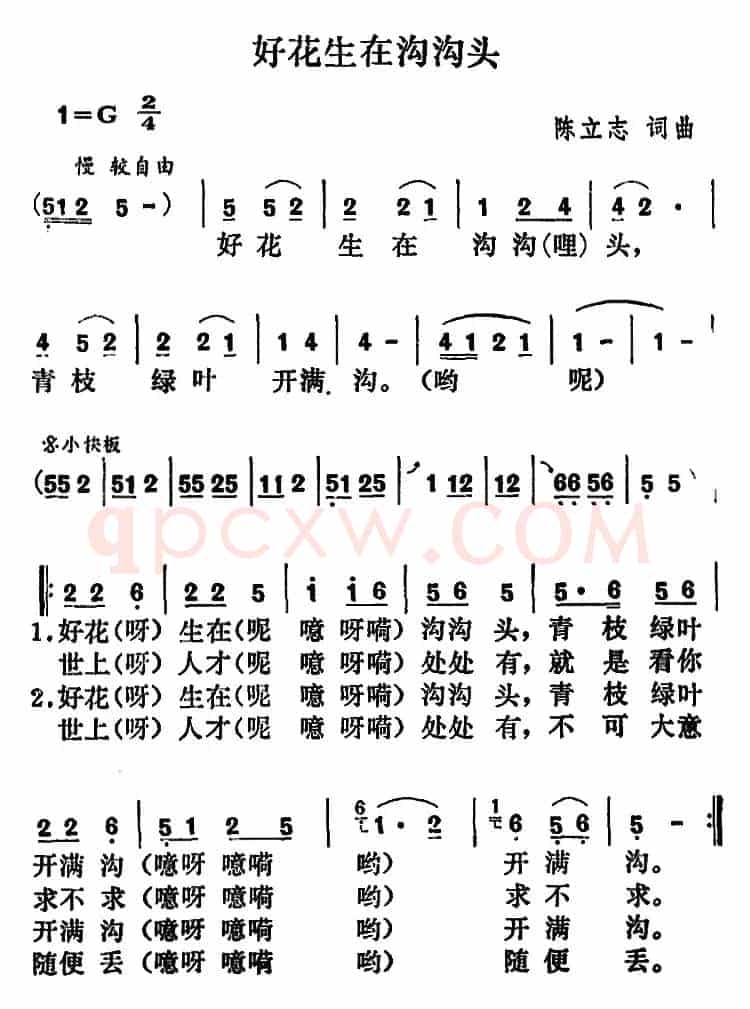 好花生在沟沟头