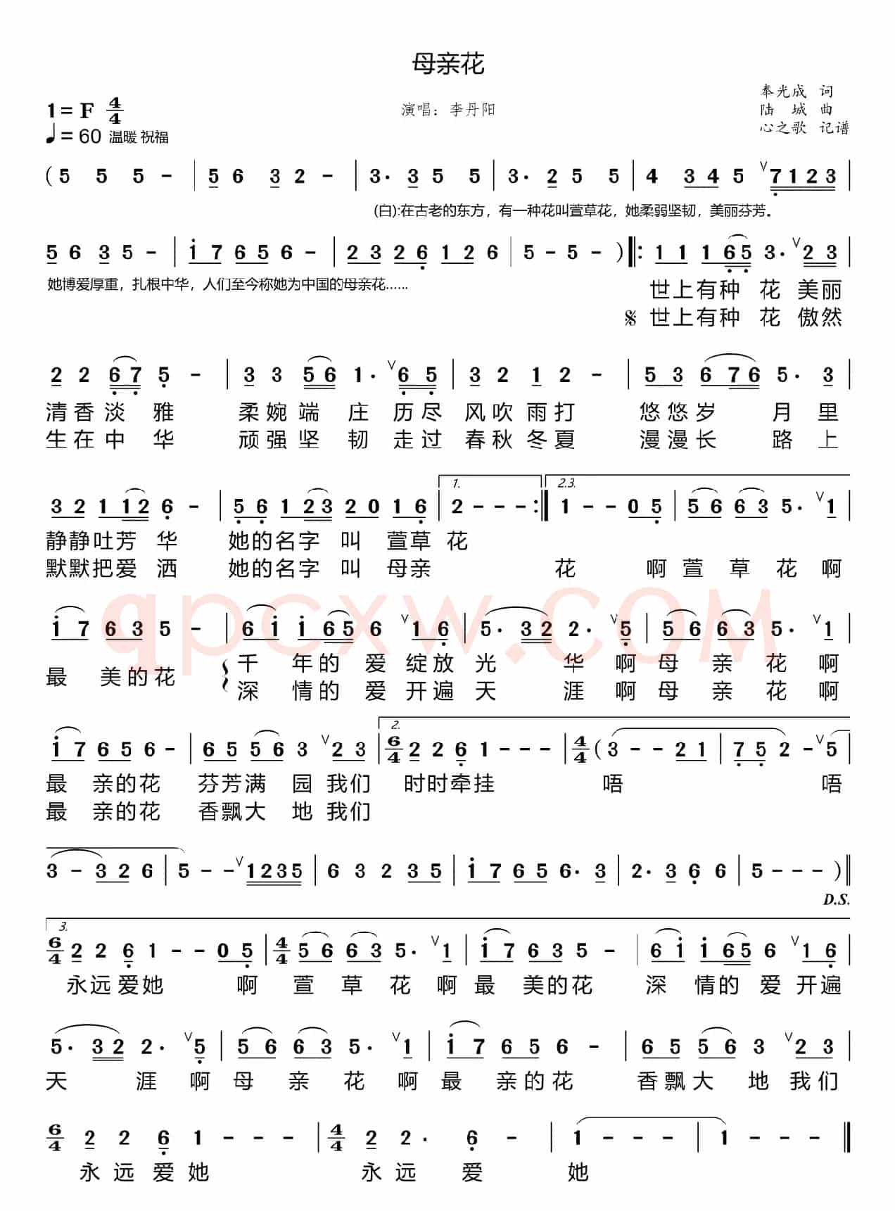 母亲花（李丹阳）