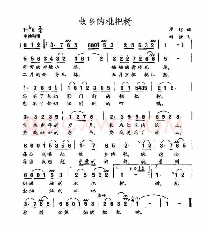 故乡的枇杷树