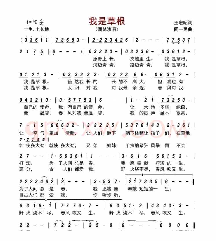 我是草根