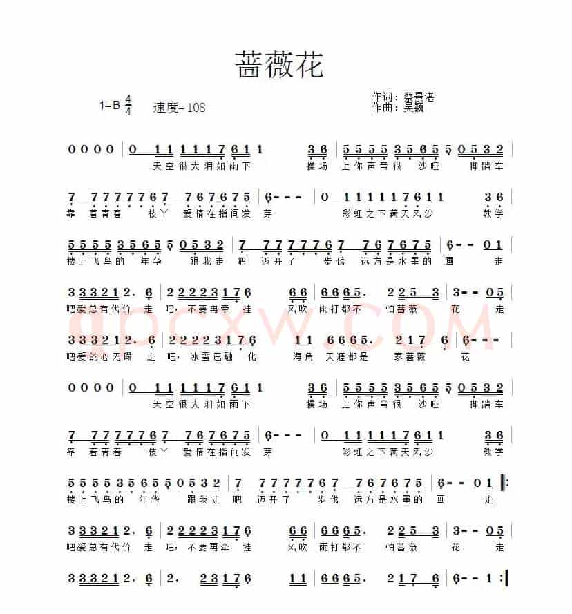 蔷薇花