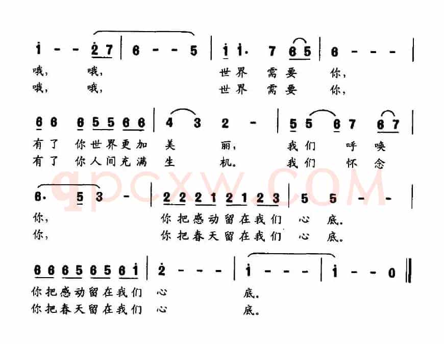 我又想起了你