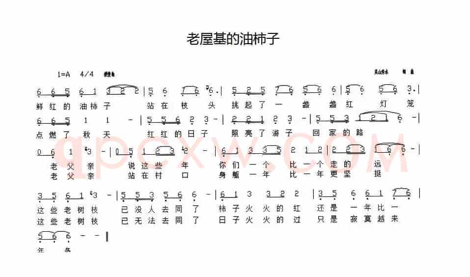 老屋基的油柿子