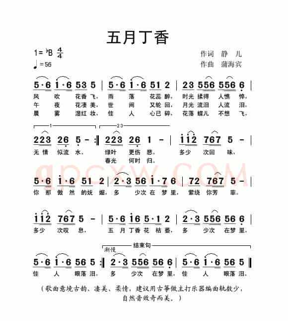 五月丁香