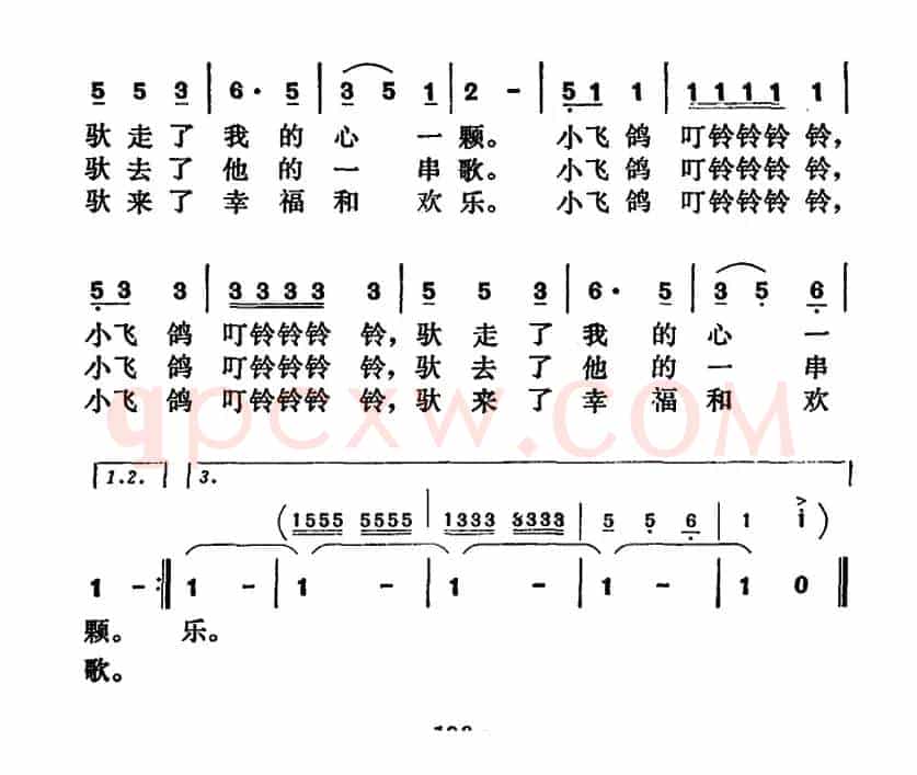 小飞鸽