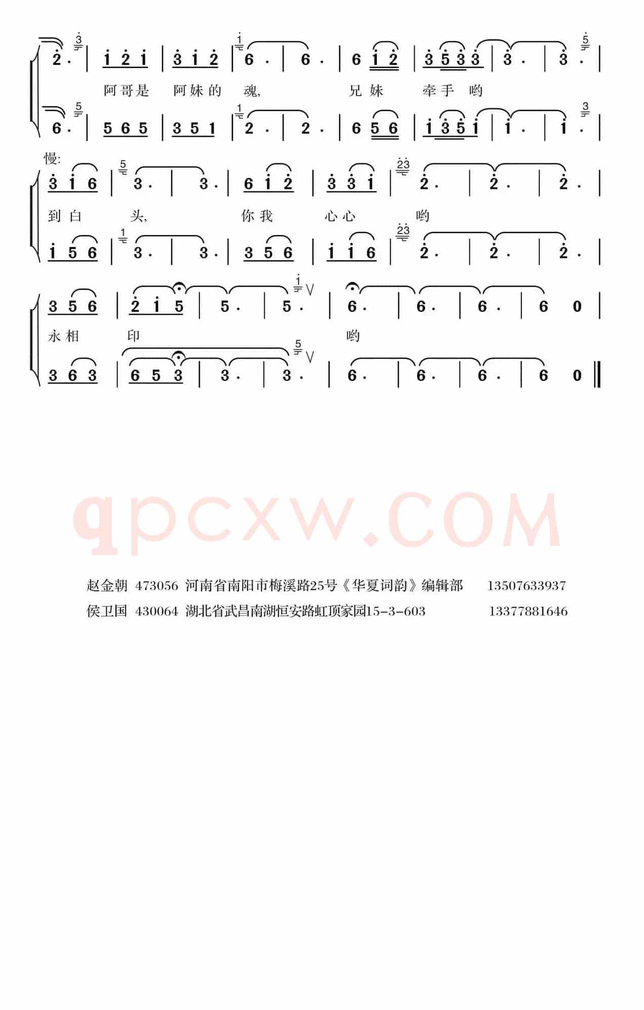 痴情的爱（赵金朝词 侯卫国曲）