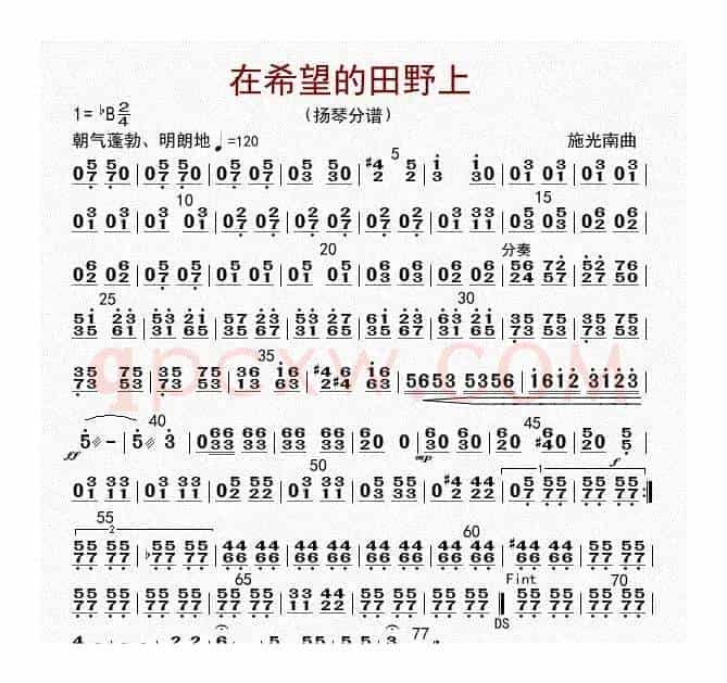 在希望的田野上（扬琴分谱）