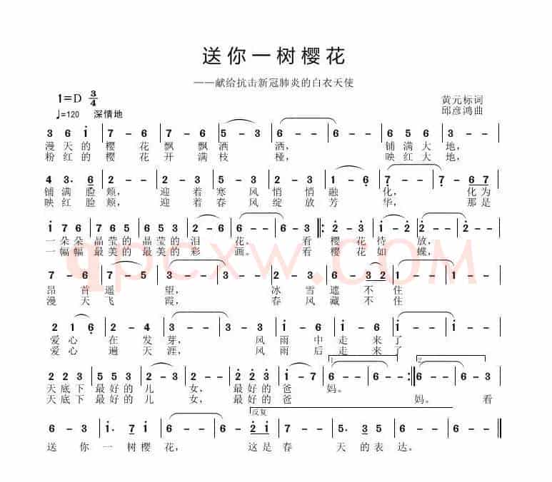 送你一树樱花