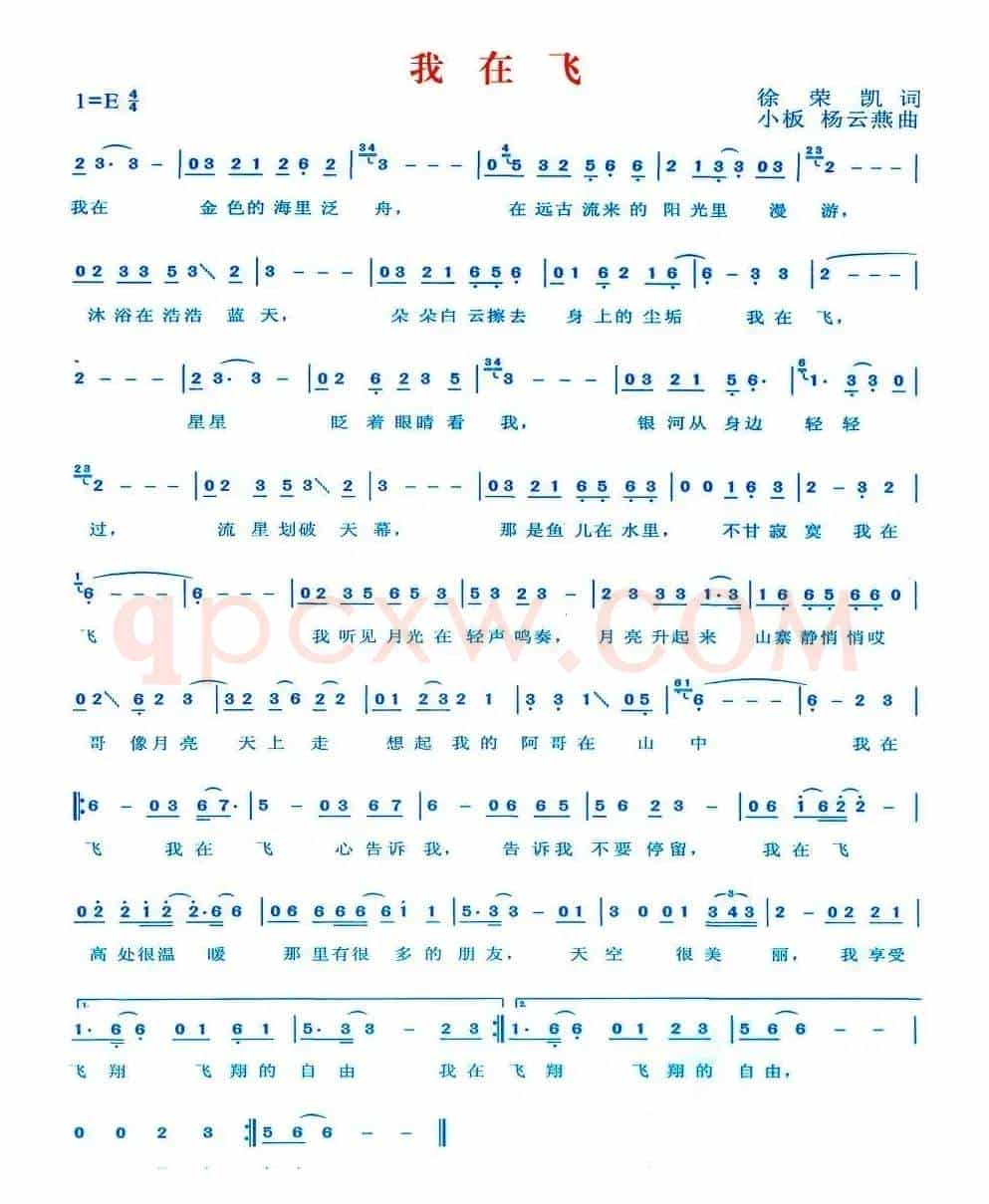 我在飞