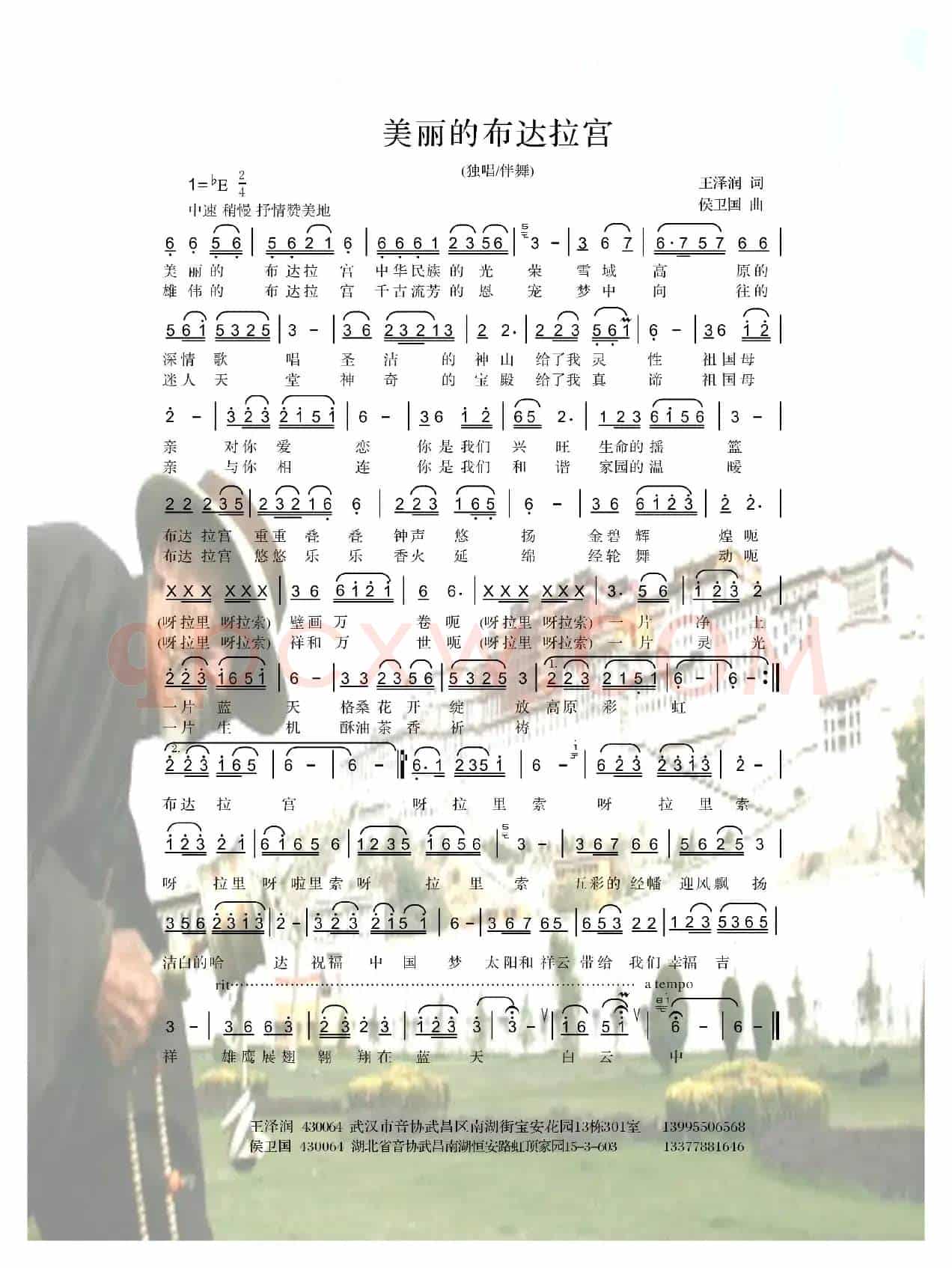 美丽的布达拉宫
