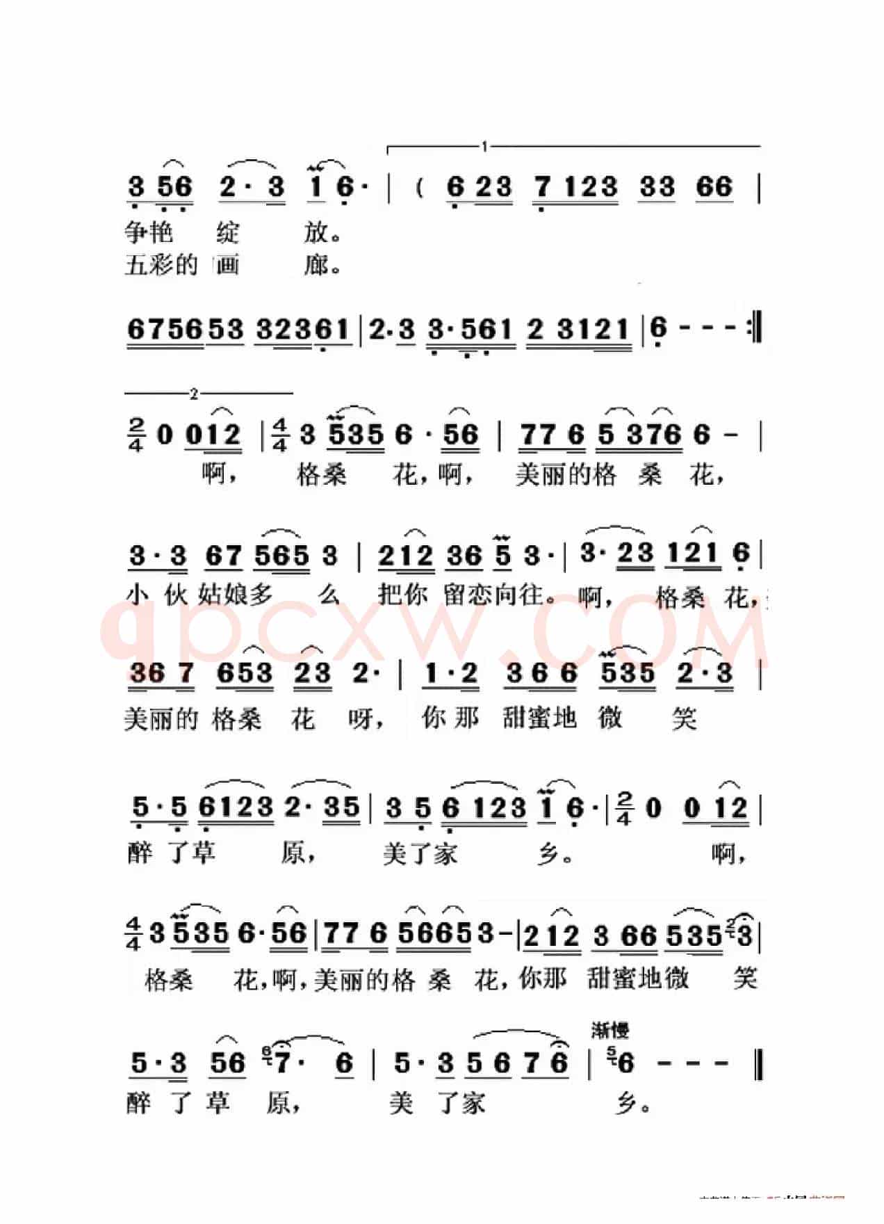 草原格桑花（大字老人适用）