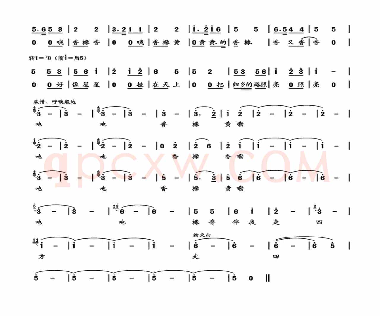 橼香伴我走四方