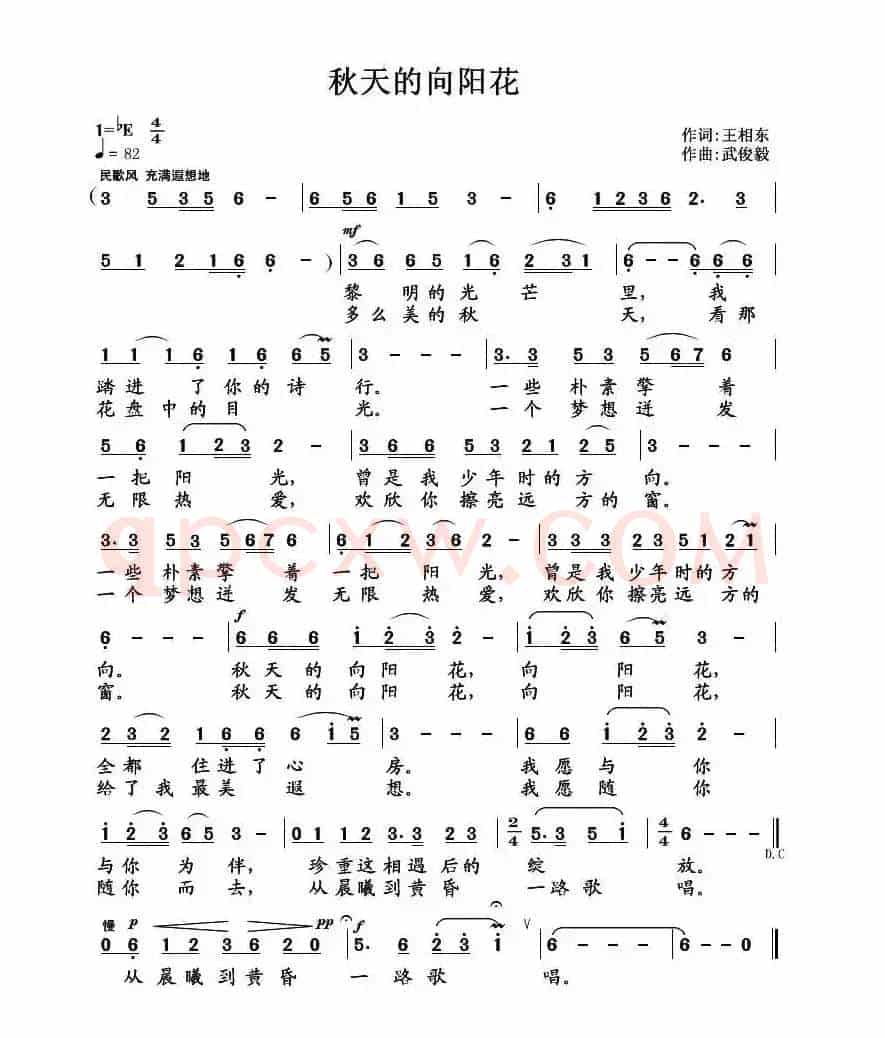 秋天的向阳花