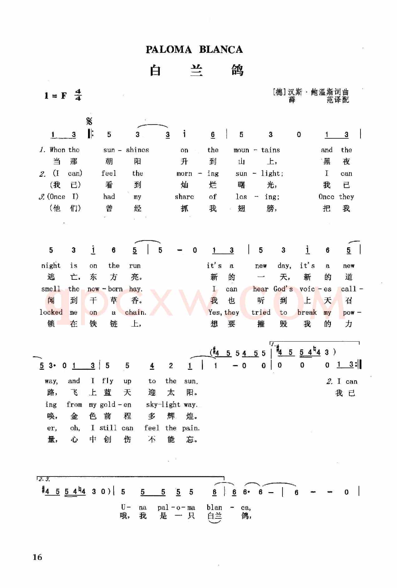 白兰鸽(英汉)