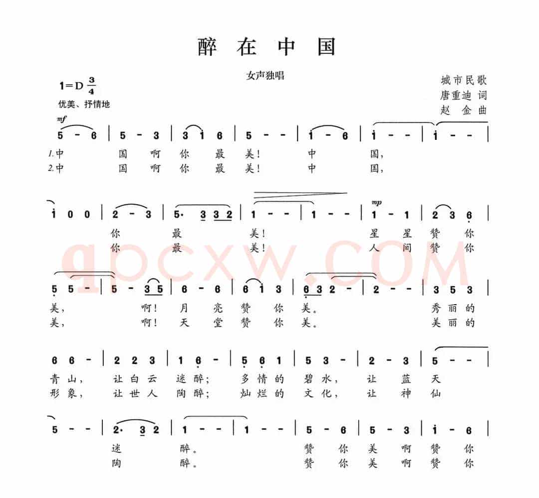 醉在中国