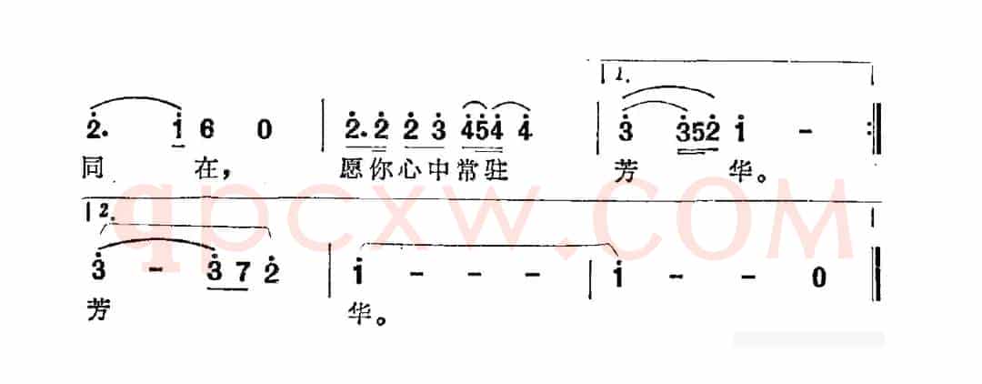 愿你心中常驻芳华