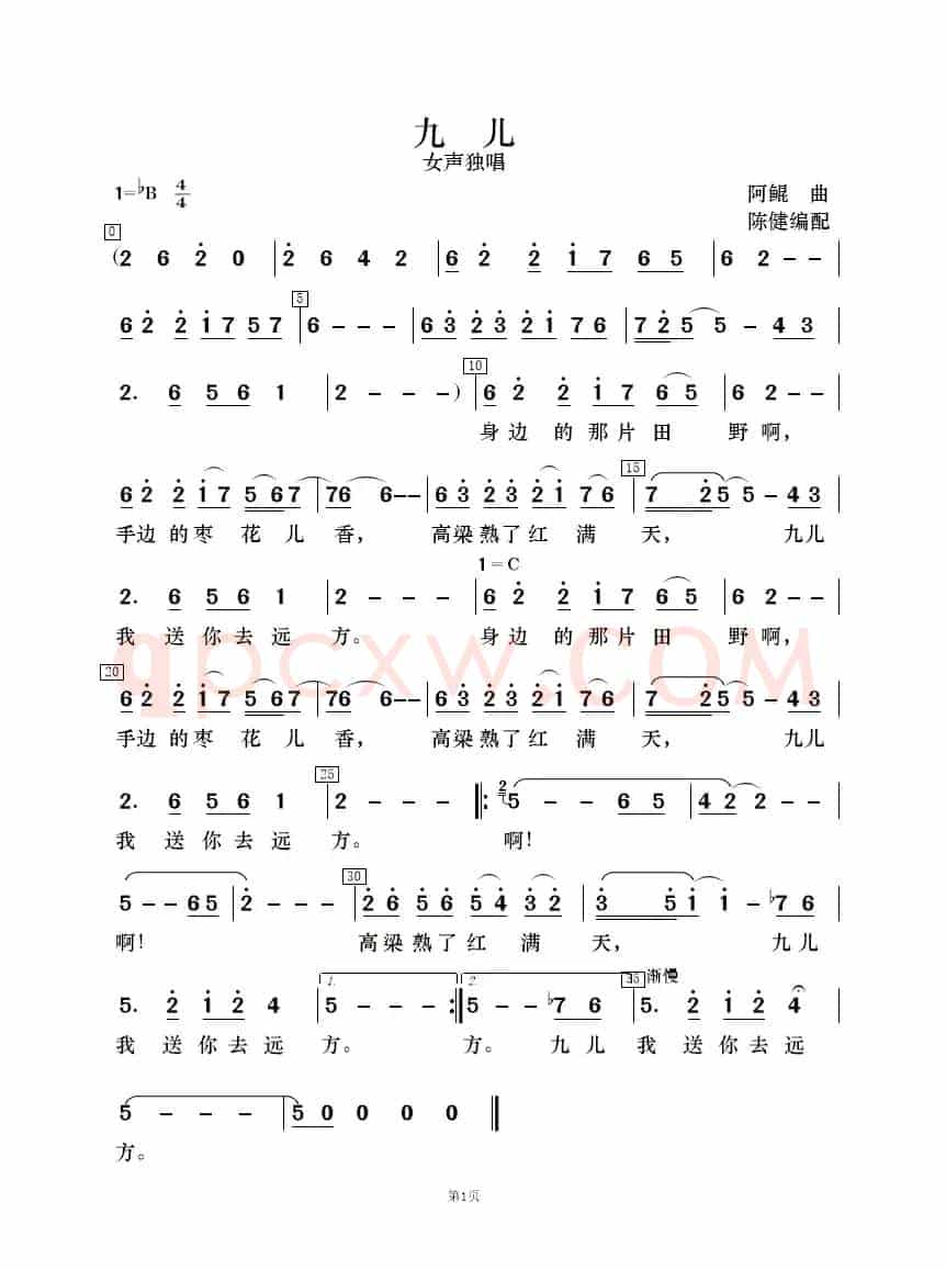 九儿（歌唱与乐队）