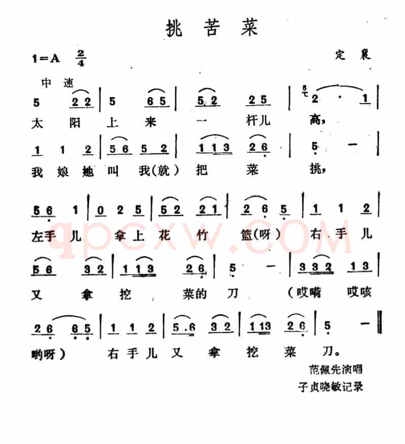 挑苦菜 