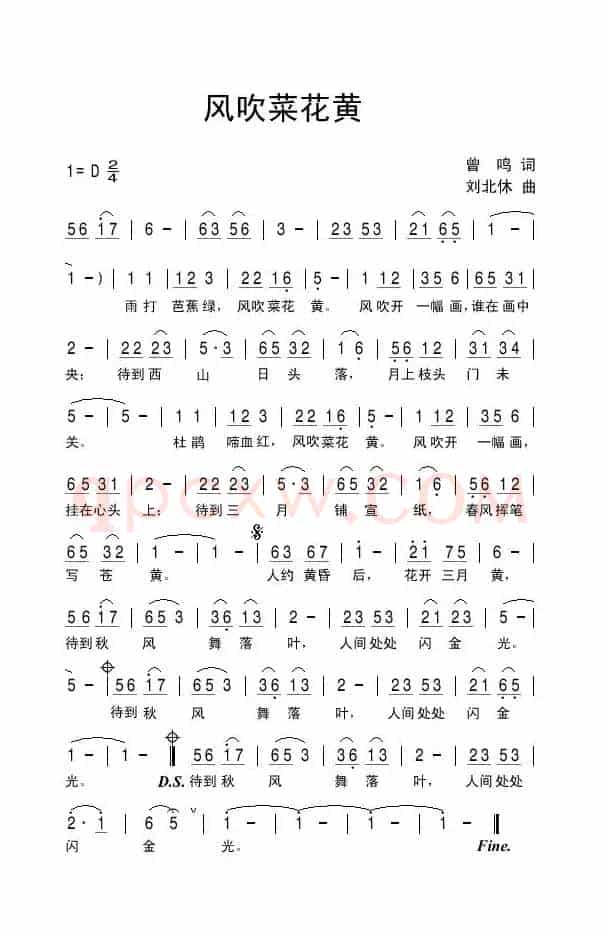 风吹菜花黄